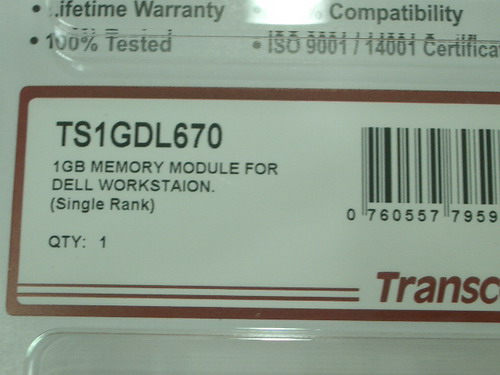 IMGP8093.JPG