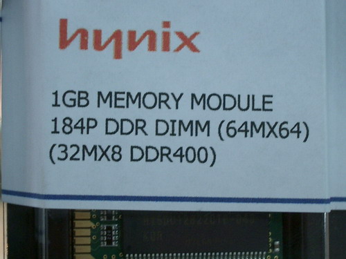 IMGP8142.JPG