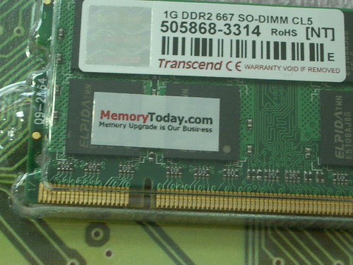 IMGP8169.JPG