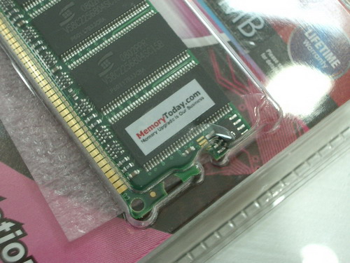 IMGP8173.JPG
