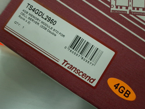 IMGP8181.JPG