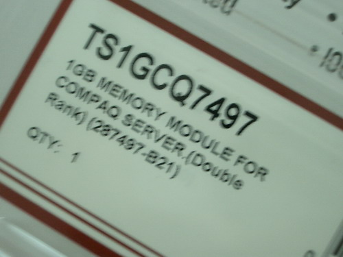 IMGP8221.JPG