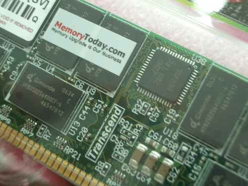 IMGP8222.JPG
