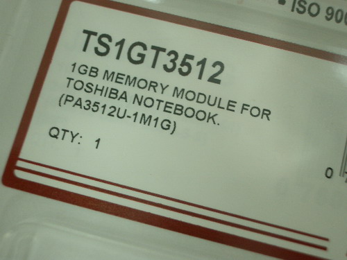 IMGP8337.JPG