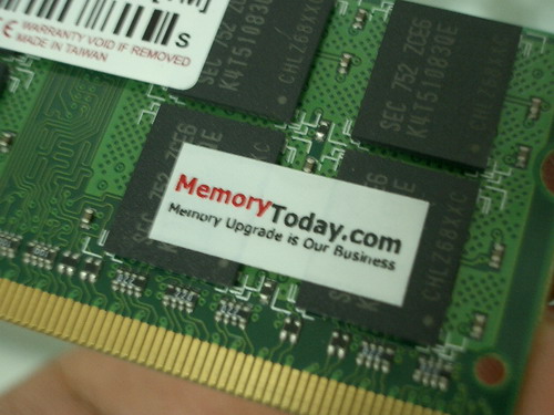 IMGP8338.JPG