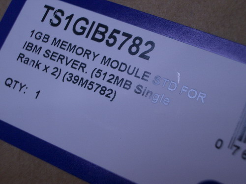 IMGP8346.JPG