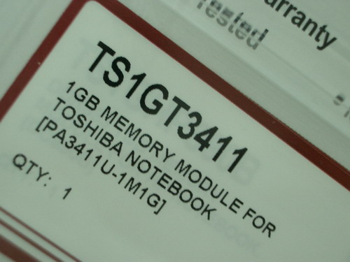 IMGP8352.JPG