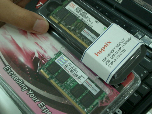 IMGP8354.JPG
