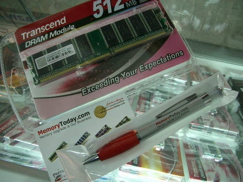 IMGP8368_resize.JPG