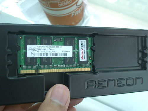 IMGP8369.JPG