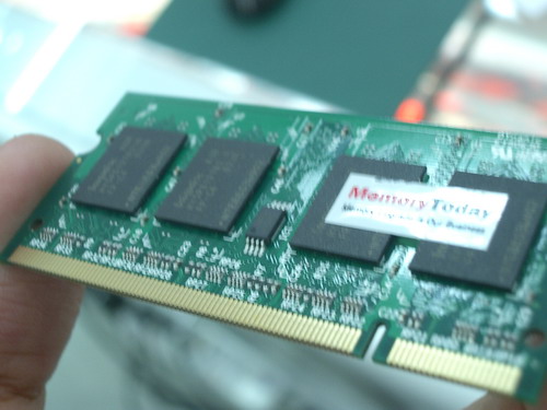 IMGP8375.JPG