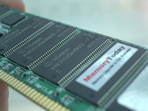 IMGP8381.JPG