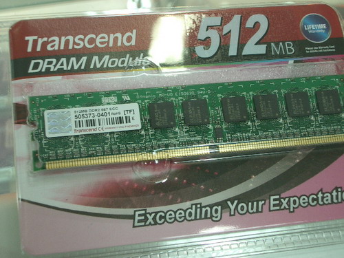 IMGP8403.JPG