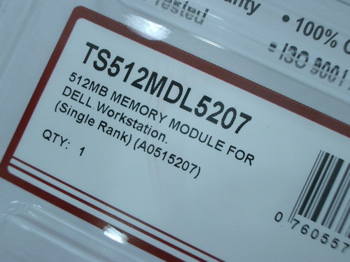 IMGP8404.JPG