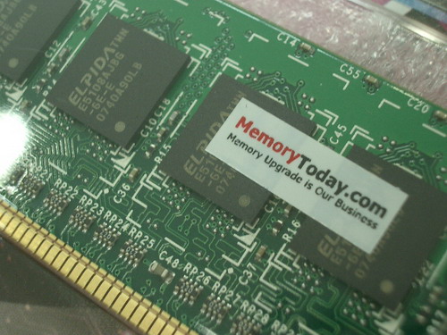 IMGP8405.JPG