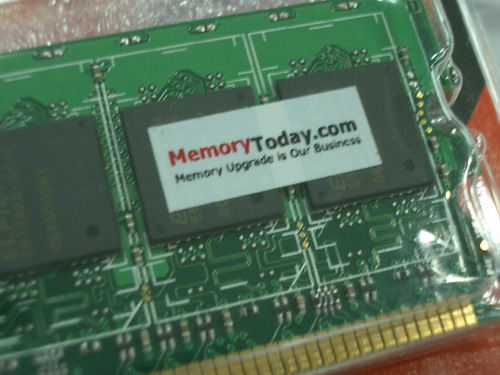 IMGP8416.JPG