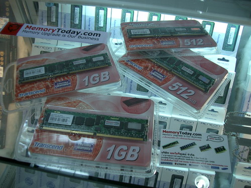 IMGP8421.JPG