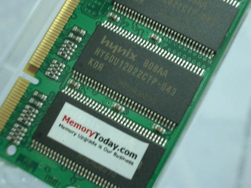 IMGP8425.JPG
