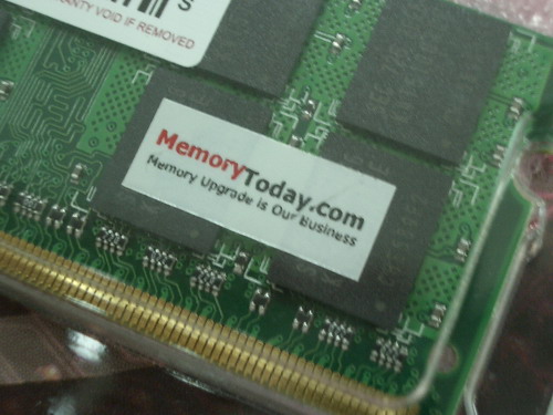 IMGP8437.JPG