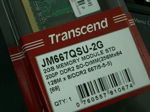 IMGP8442.JPG
