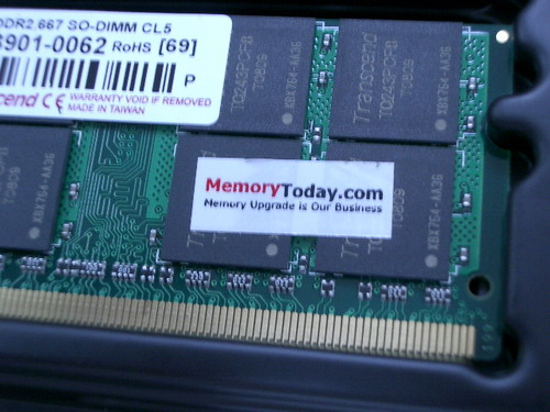 IMGP8446.JPG