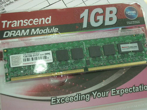 IMGP8470.JPG