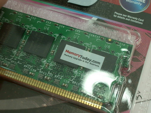 IMGP8472.JPG