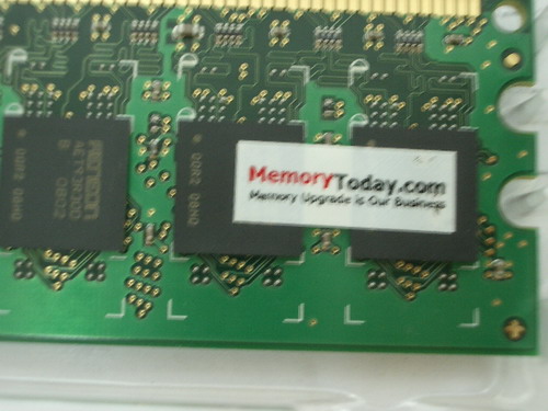IMGP8581.JPG