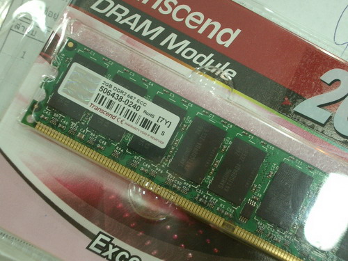 IMGP8593.JPG
