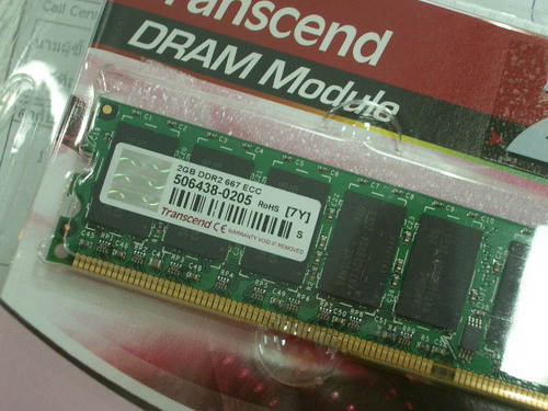 IMGP8594.JPG