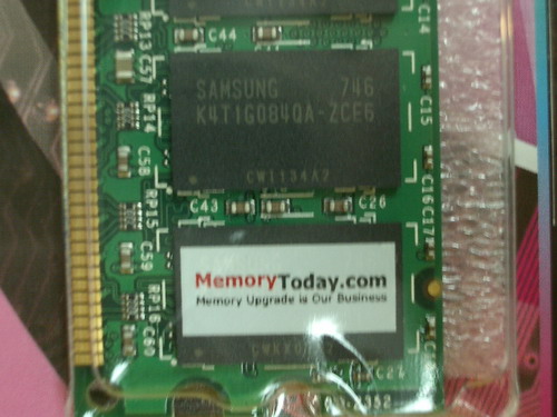 IMGP8595.JPG