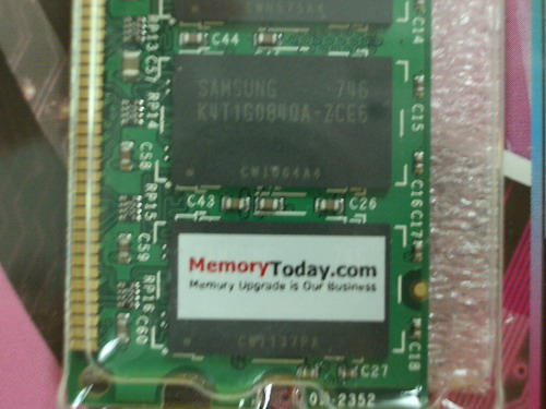 IMGP8596.JPG