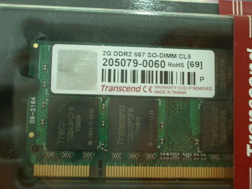 IMGP8605.JPG