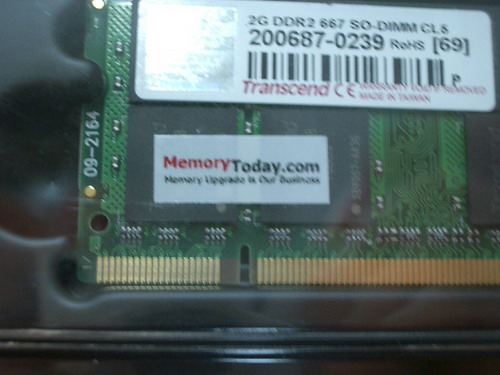 IMGP8618.JPG