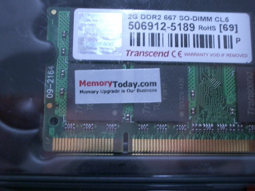 IMGP8622.JPG