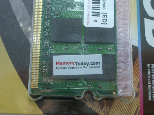 IMGP8628.JPG