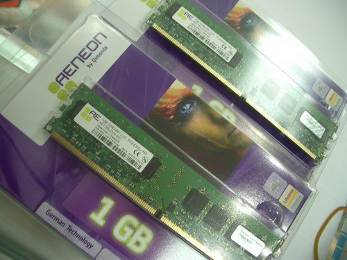 IMGP8631.JPG
