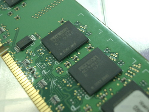 IMGP8633.JPG