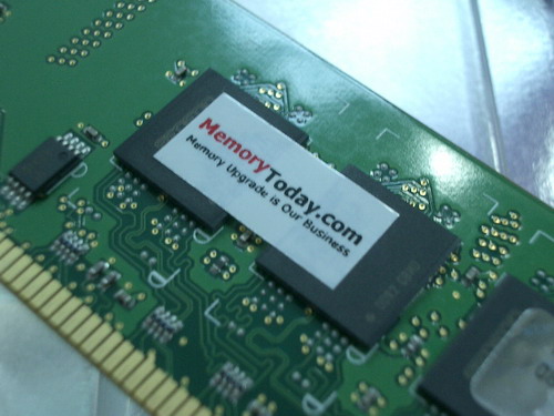 IMGP8634.JPG