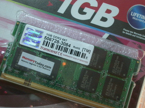IMGP8642.JPG