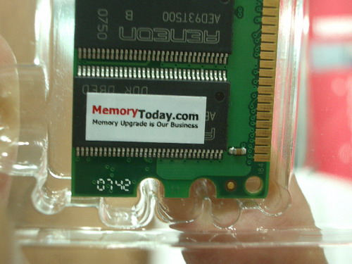 IMGP8660.JPG