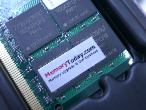 IMGP8663.JPG