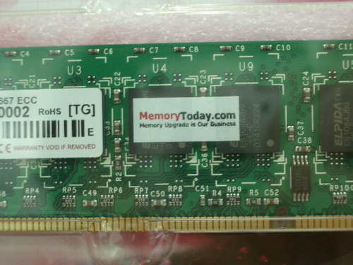 IMGP8668.JPG