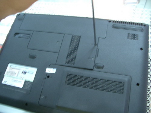 IMGP8680.JPG