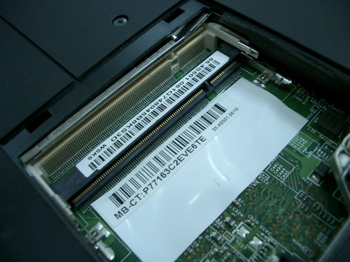 IMGP8681.JPG
