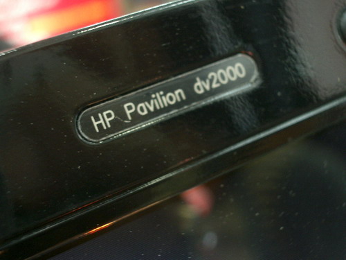 IMGP8686.JPG