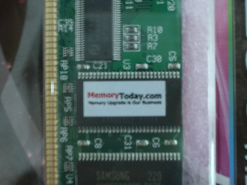 IMGP8699.JPG
