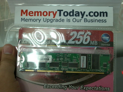 IMGP8702.JPG