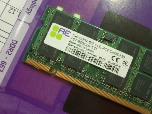 IMGP8714.JPG