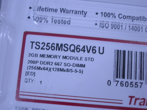 IMGP8736.JPG